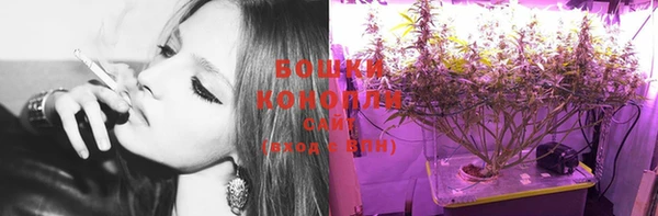 прущие грибы Верхнеуральск