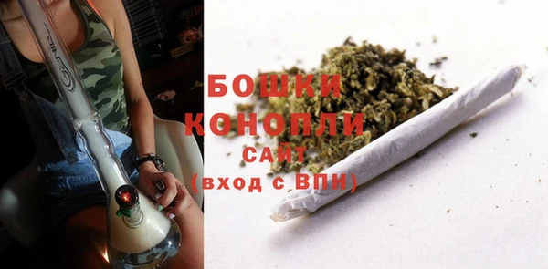 прущие грибы Верхнеуральск