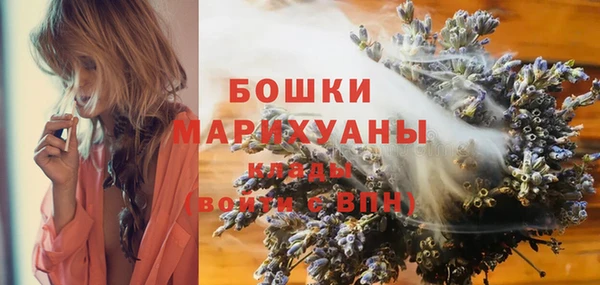 прущие грибы Верхнеуральск