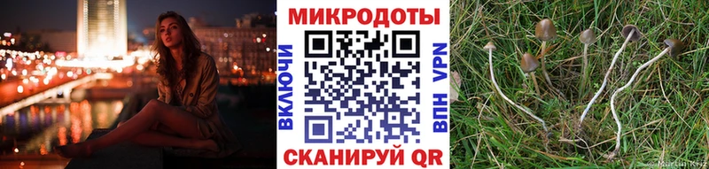 Галлюциногенные грибы GOLDEN TEACHER  Купить  Калач 